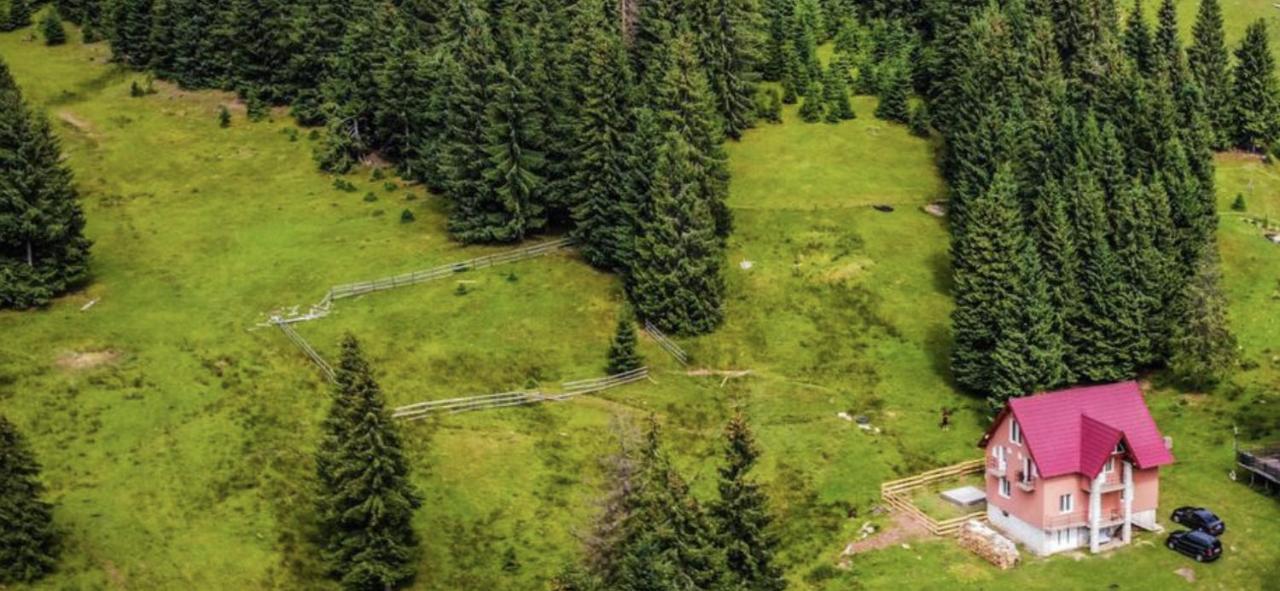 Willa Casa Bogdan Vartop Zewnętrze zdjęcie