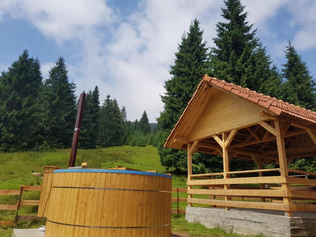 Willa Casa Bogdan Vartop Zewnętrze zdjęcie